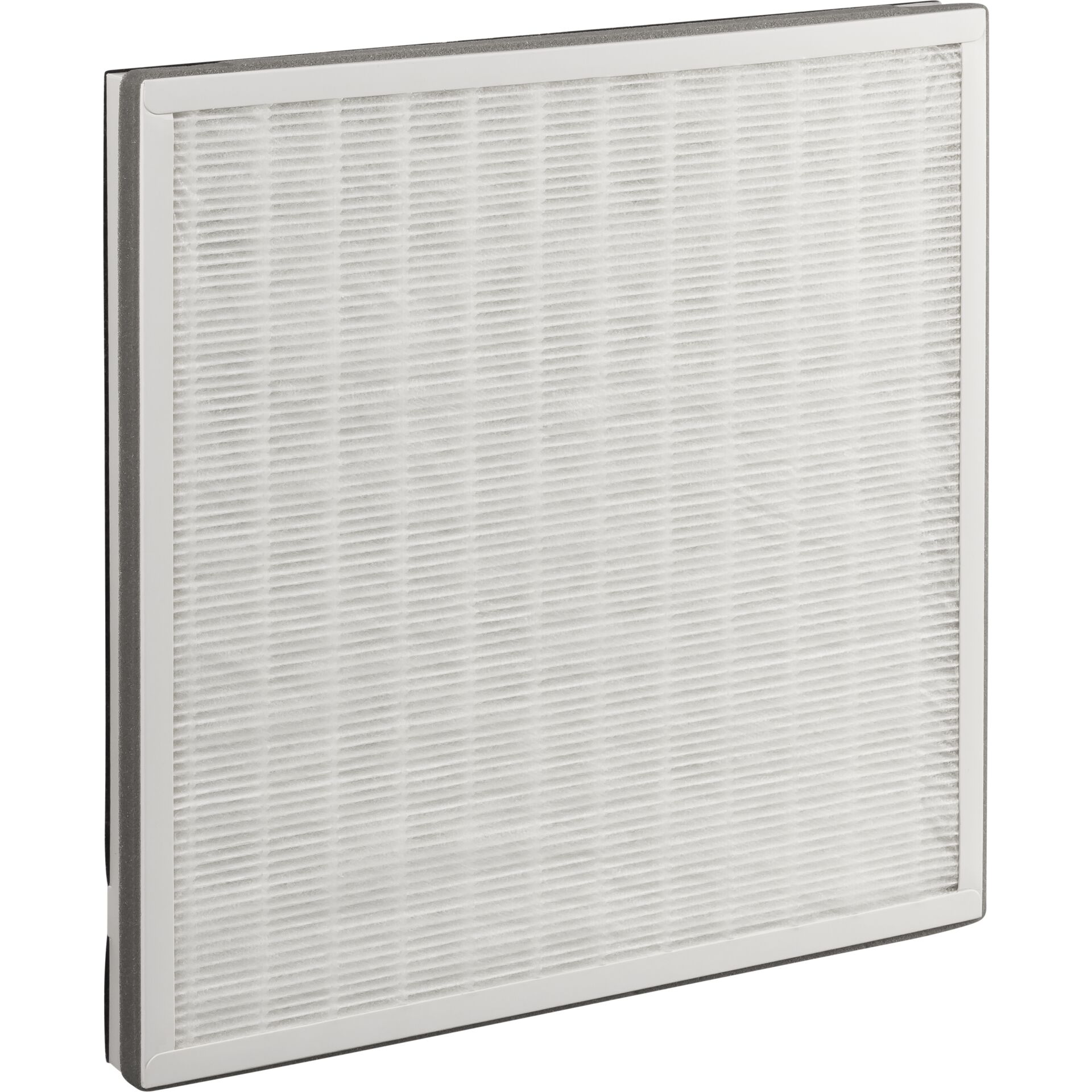 Beurer LR 310 Replacement Filter