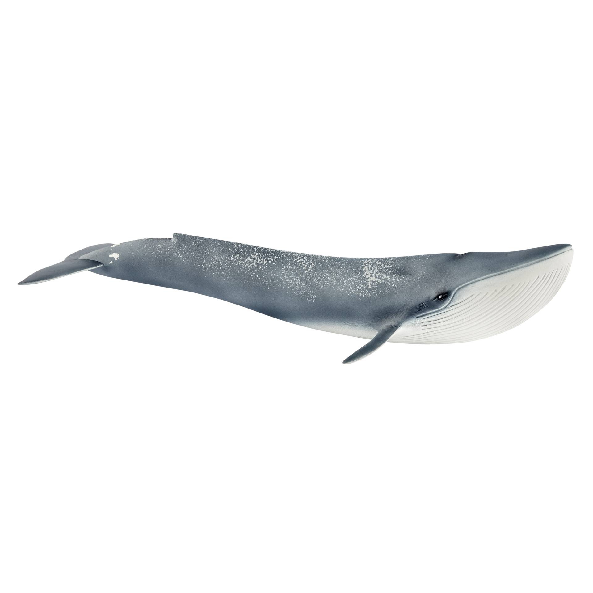 Schleich Wild Life 14806 Blue Whale