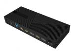 ICY BOX IB-DK2246AC Hybrid DockingStation