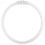 Osram Circular Fluorescent Lamp T5 FC22W 840 2GX13