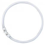 Osram Circular Fluorescent Lamp T5 FC55W 865 2GX13