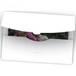 1x50 Daiber Cover          15x20 white