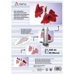 1x100 Olympia Laminating pouches DIN A4 80 micron            9166