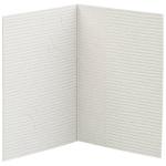1x100 Daiber Folder Passport Photograph, 3 sizes , grey