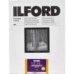 1x100 Ilford MG RC DL 25M  18x24