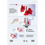 1x25 Olympia Laminating pouches DIN A3 80 micron