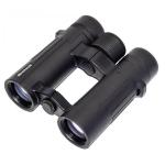 Braun Compagno          10x34 WP