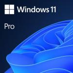 Microsoft Windows 11 Pro 64 Bit - SystemBuilder - Box - 1 license - German